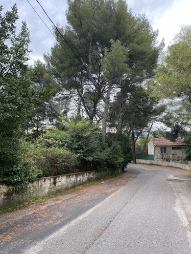 Biodiversité urbaine : quand la justice protège les îlots de fraîcheur 