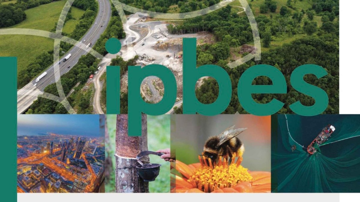 IPBES 2026 - biodiversité, comptabilité écologique et performance des entreprises 