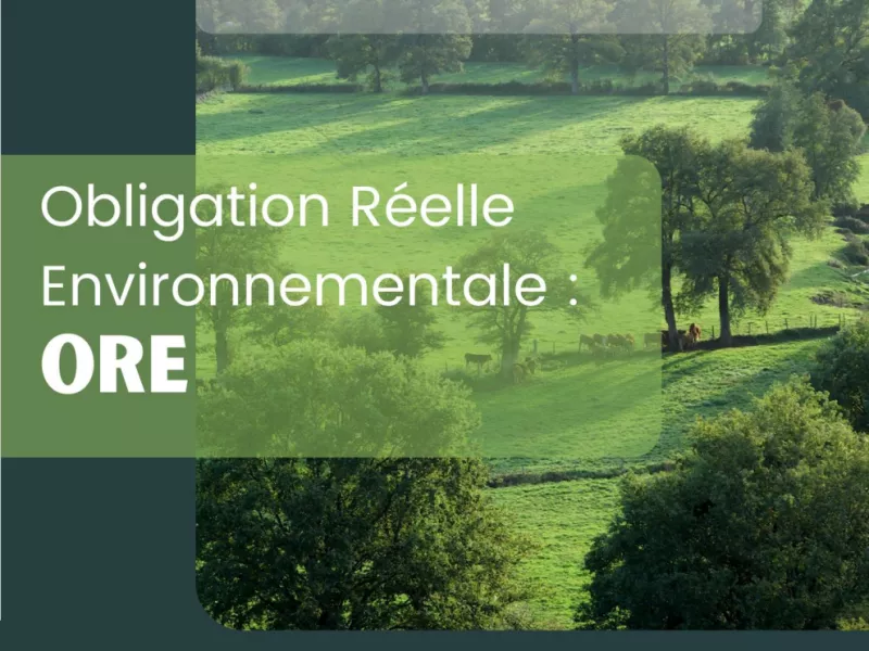 L’Obligation Réelle Environnementale - Quand le droit devient un outil de biodiversité 