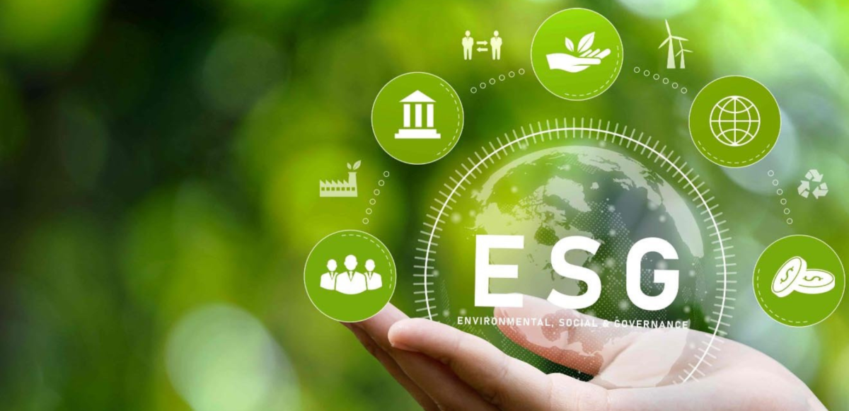 Certification ESG et ODD : pourquoi s’appuyer sur un tiers accrédité devient incontournable 